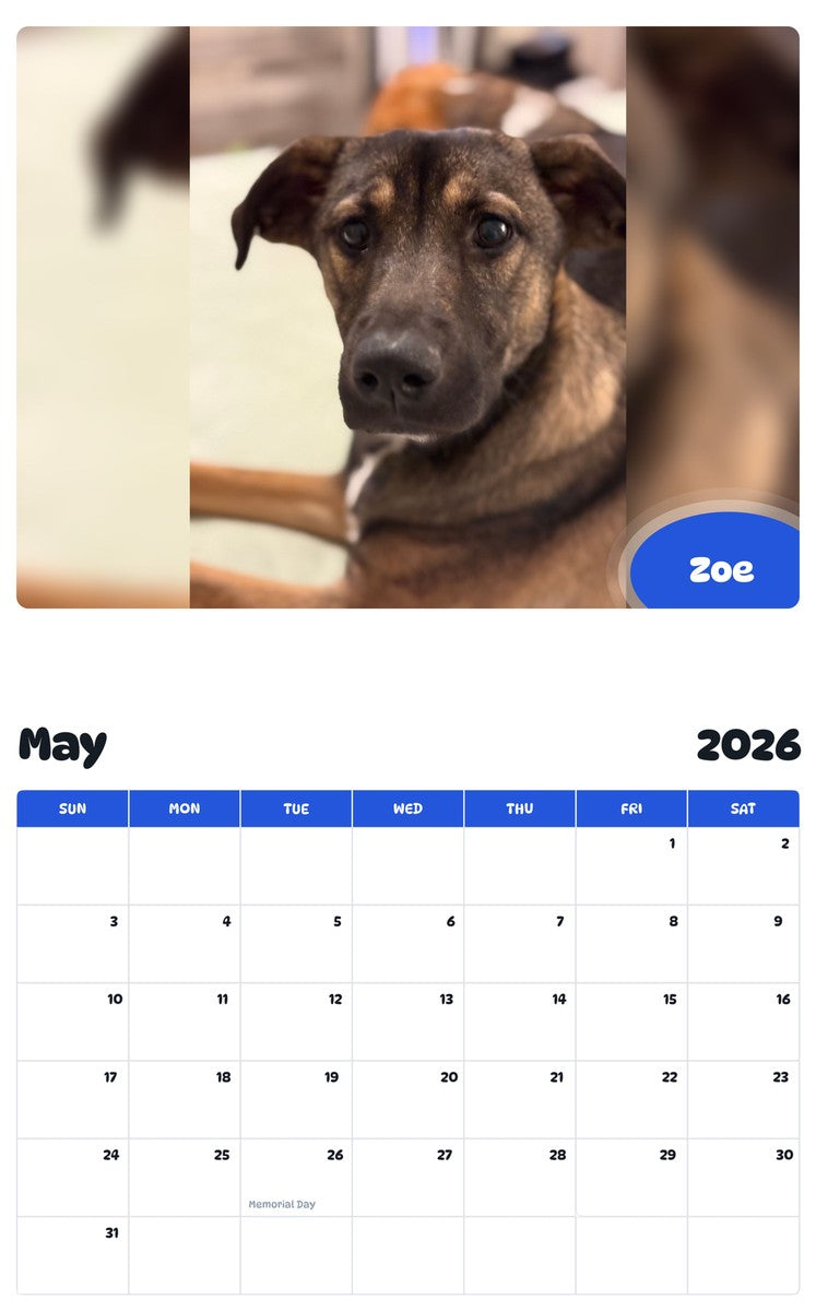 2026 - 2027 Zoe - Pawidols Pet Calendar