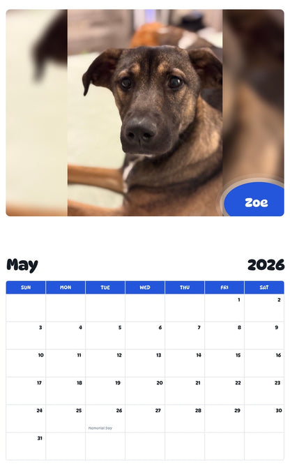 2026 - 2027 Zoe - Pawidols Pet Calendar