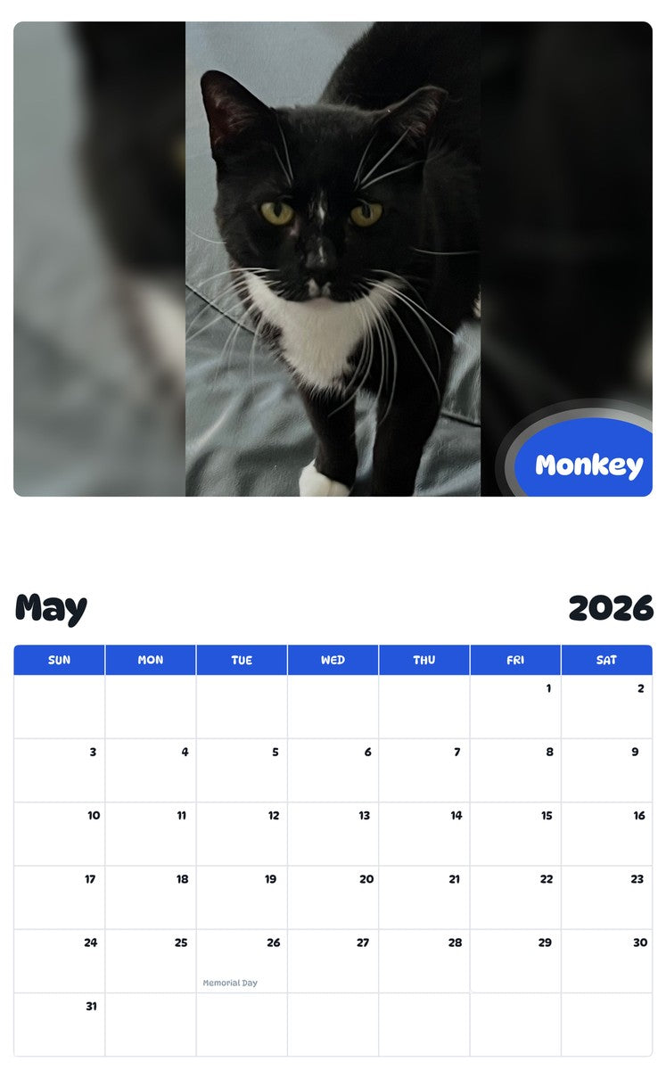 2026 - 2027 Monkey - Pawidols Pet Calendar