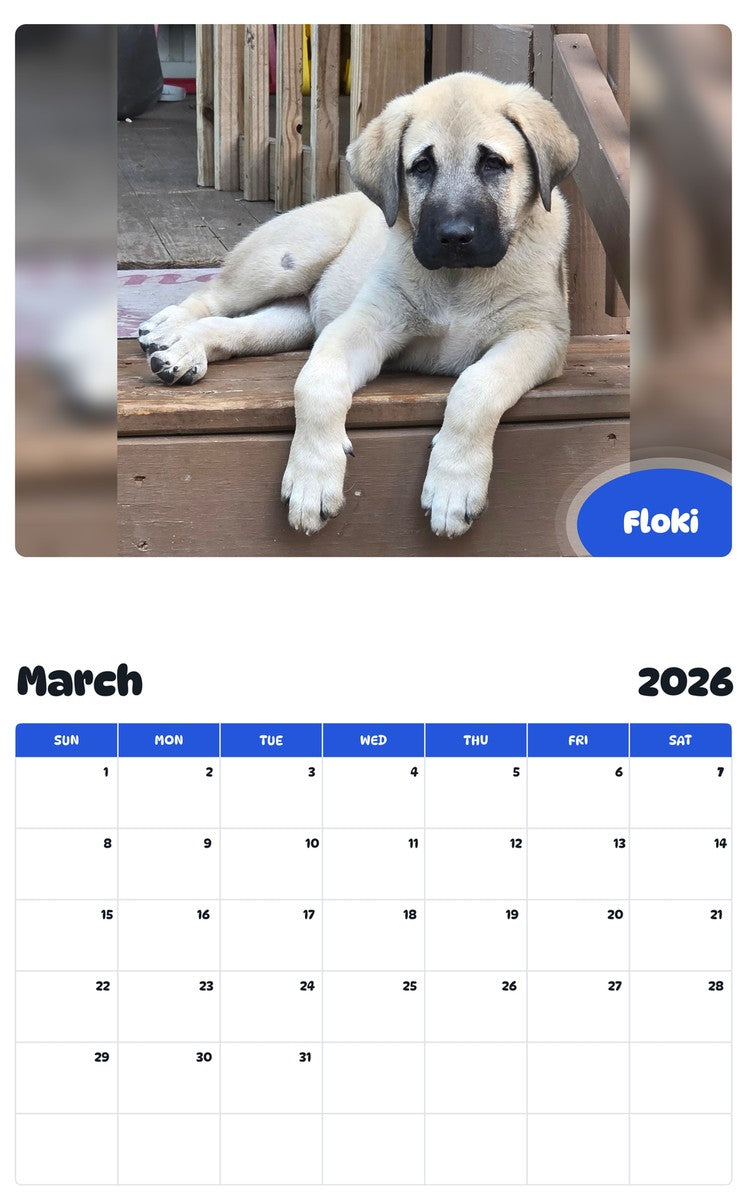 November 2025 - October 2026 Floki - Pawidols Pet Calendar