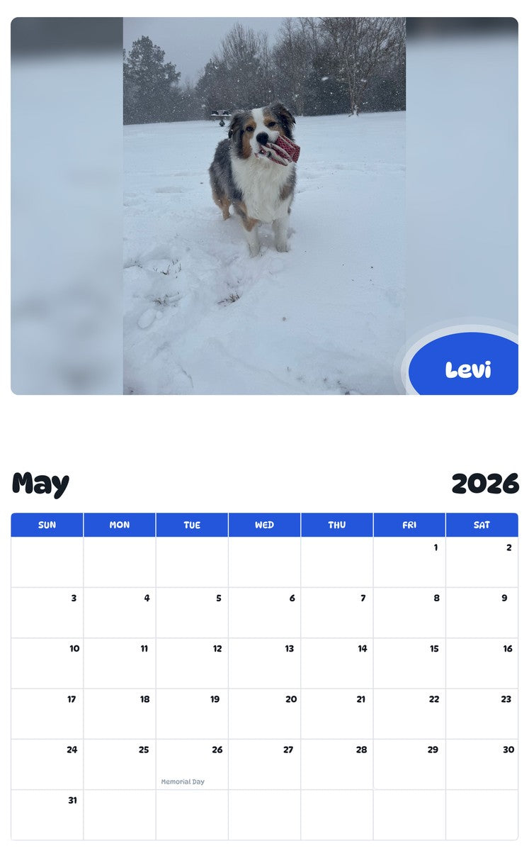 2026 - 2027 Levi - Pawidols Pet Calendar
