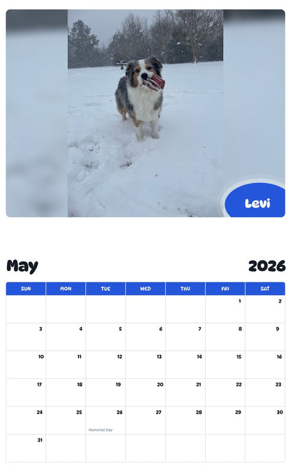 2026 - 2027 Levi - Pawidols Pet Calendar