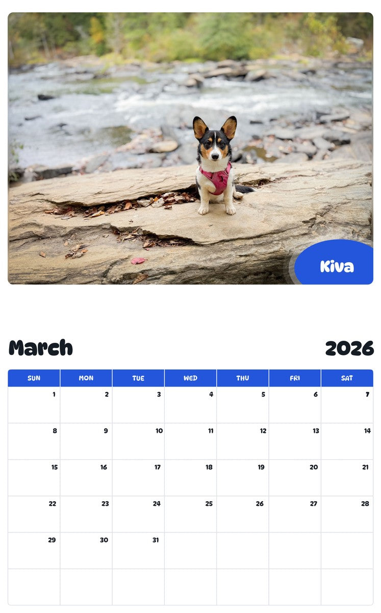 November 2025 - October 2026 Kiva - Pawidols Pet Calendar