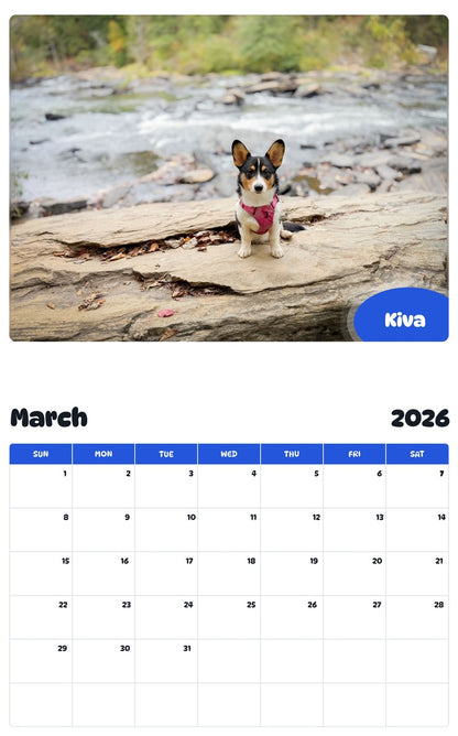 November 2025 - October 2026 Kiva - Pawidols Pet Calendar