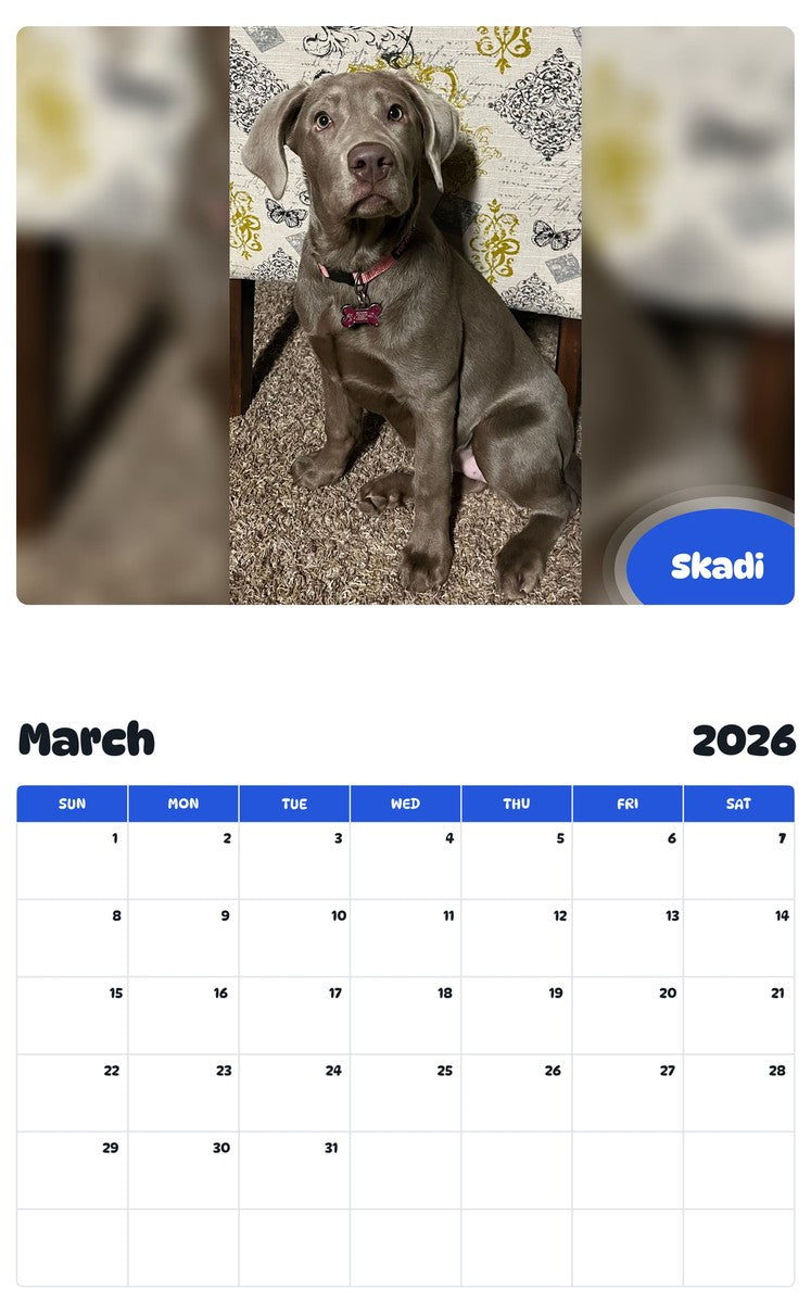 November 2025 - October 2026 Skadi - Pawidols Pet Calendar