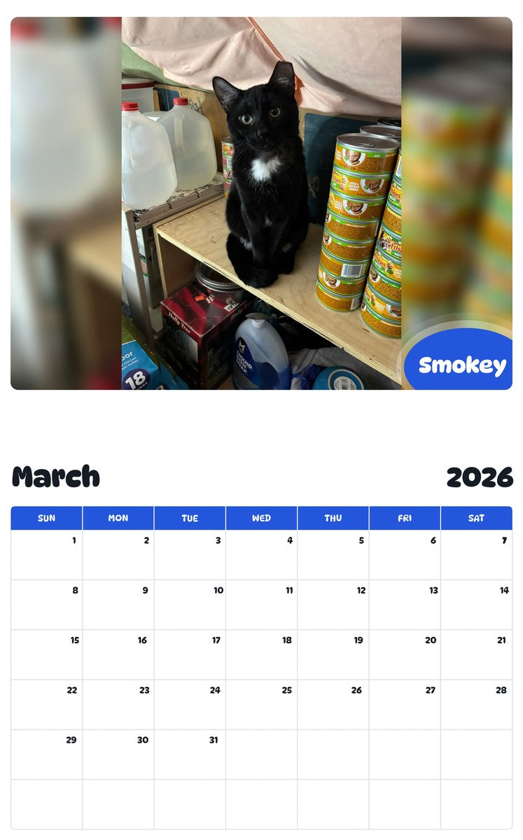 November 2025 - October 2026 Smokey - Pawidols Pet Calendar