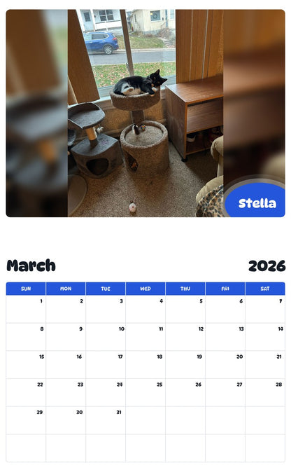 November 2025 - October 2026 Stella - Pawidols Pet Calendar