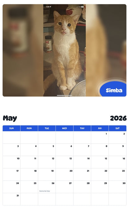 2026 - 2027 Simba - Pawidols Pet Calendar