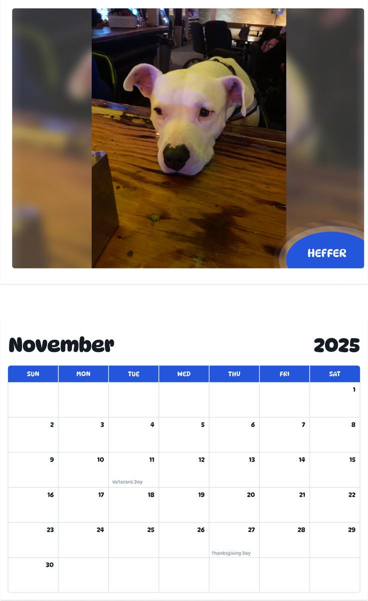 July 2025 - June 2026 Heffer - Pawidols Pet Calendar
