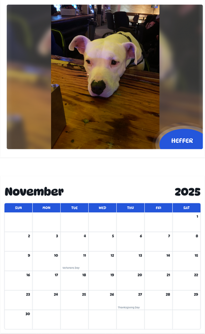 July 2025 - June 2026 Heffer - Pawidols Pet Calendar