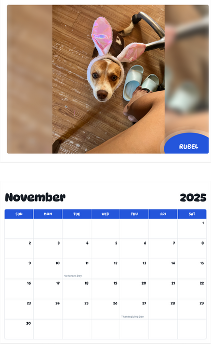 July 2025 - June 2026 Rubel - Pawidols Pet Calendar