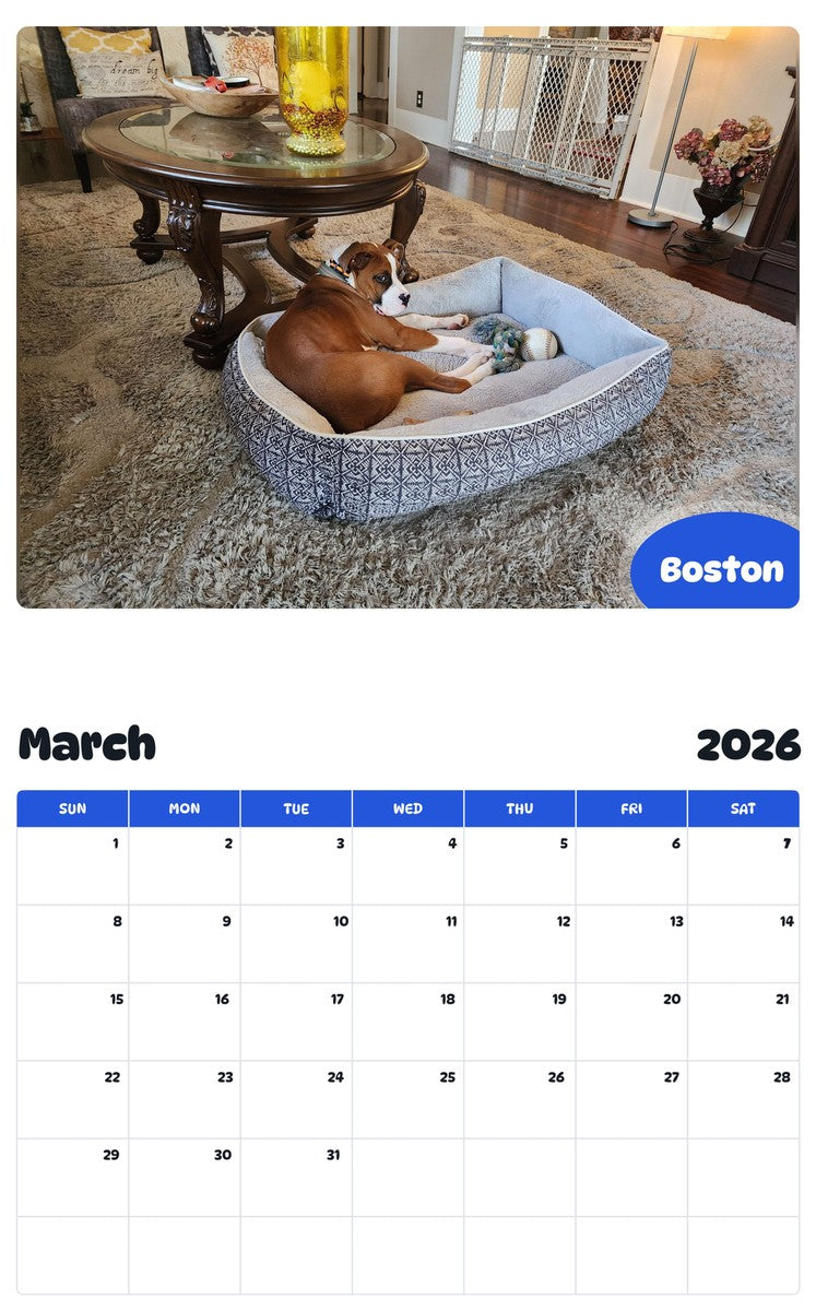 November 2025 - October 2026 Boston - Pawidols Pet Calendar