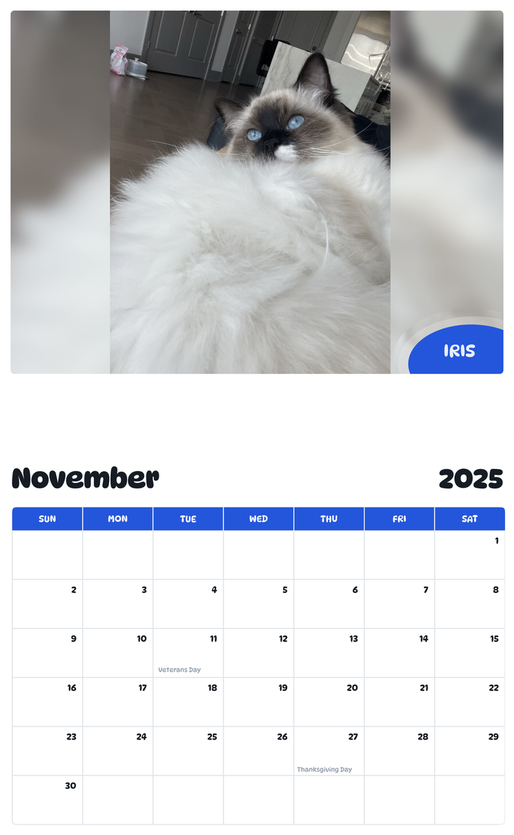 July 2025 - June 2026 Iris - Pawidols Pet Calendar