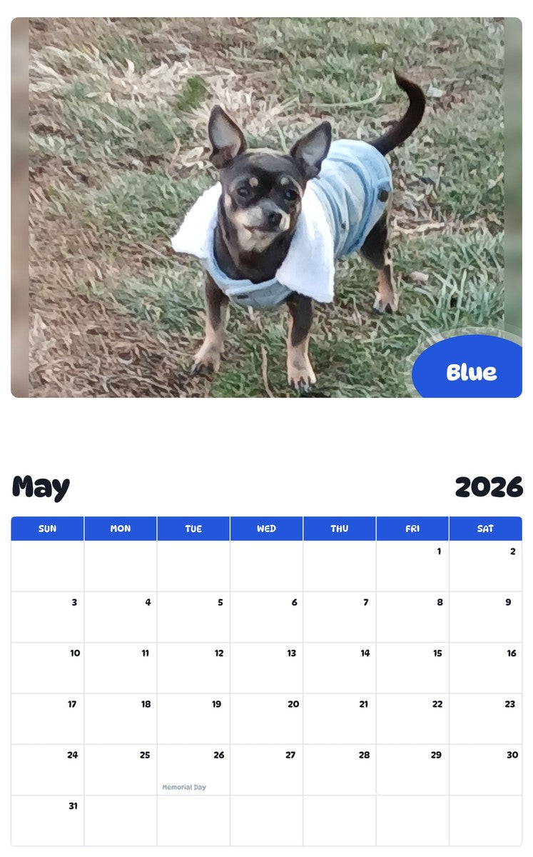 2026 - 2027 Blue - Pawidols Pet Calendar