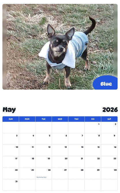 2026 - 2027 Blue - Pawidols Pet Calendar