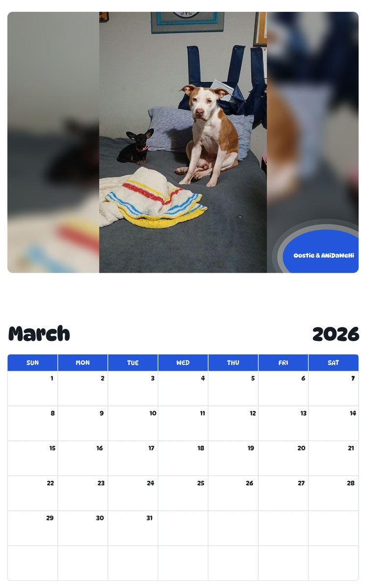 November 2025 - October 2026 Oostie & ANiDaWeHi - Pawidols Pet Calendar