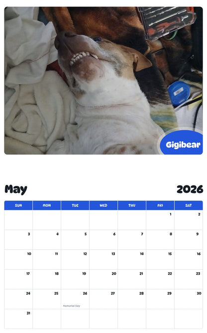 2026 - 2027 Gigibear - Pawidols Pet Calendar