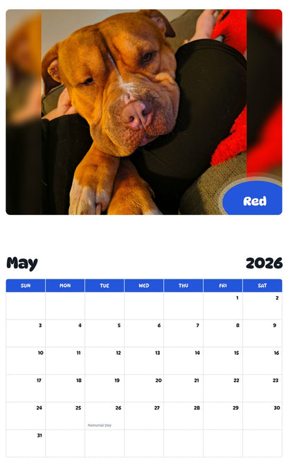2026 - 2027 Red - Pawidols Pet Calendar