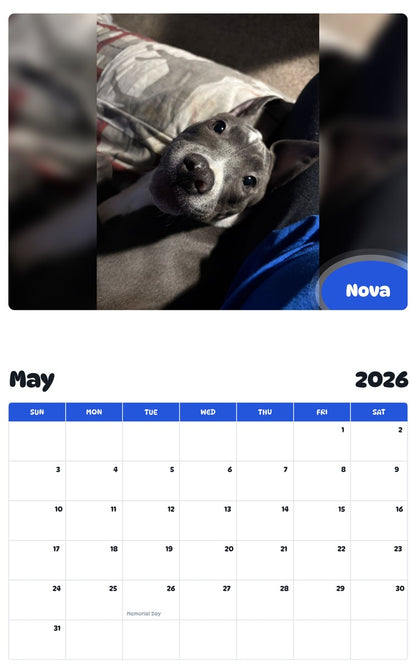 2026 - 2027 Nova - Pawidols Pet Calendar