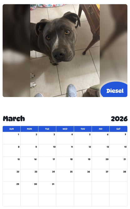 November 2025 - October 2026 Diesel - Pawidols Pet Calendar