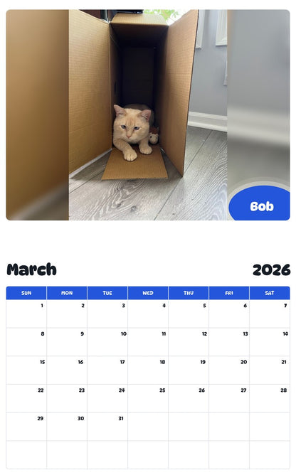 November 2025 - October 2026 Bob - Pawidols Pet Calendar