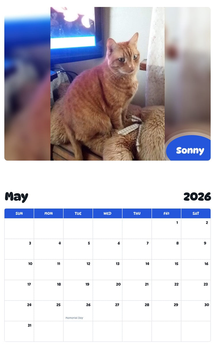 2026 - 2027 Sonny - Pawidols Pet Calendar