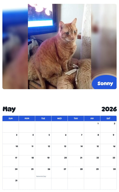 2026 - 2027 Sonny - Pawidols Pet Calendar