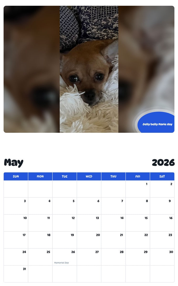 2026 - 2027 Jelly belly Marie day - Pawidols Pet Calendar
