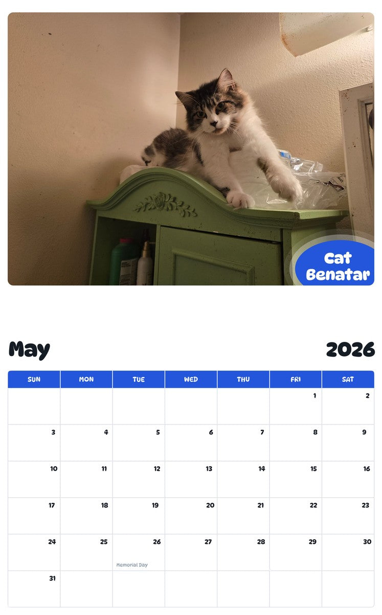 2026 - 2027 Cat Benatar - Pawidols Pet Calendar