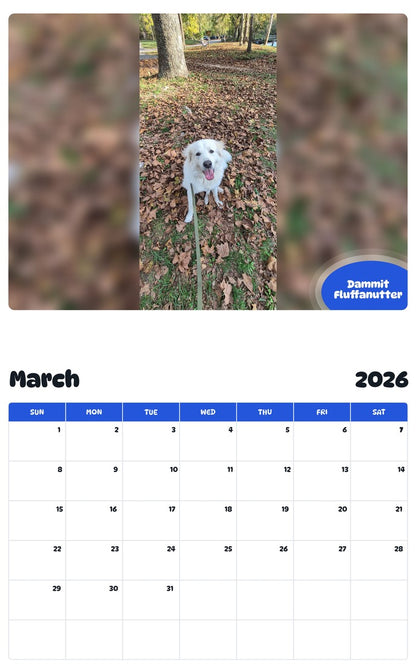 November 2025 - October 2026 Dammit Fluffanutter - Pawidols Pet Calendar