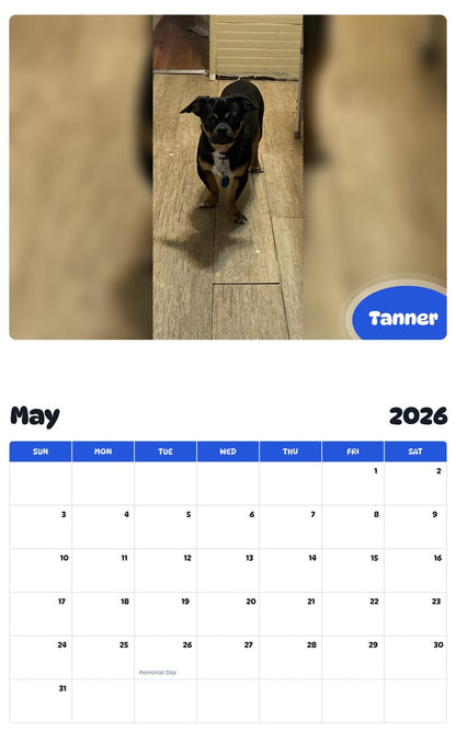 2026 - 2027 Tanner - Pawidols Pet Calendar