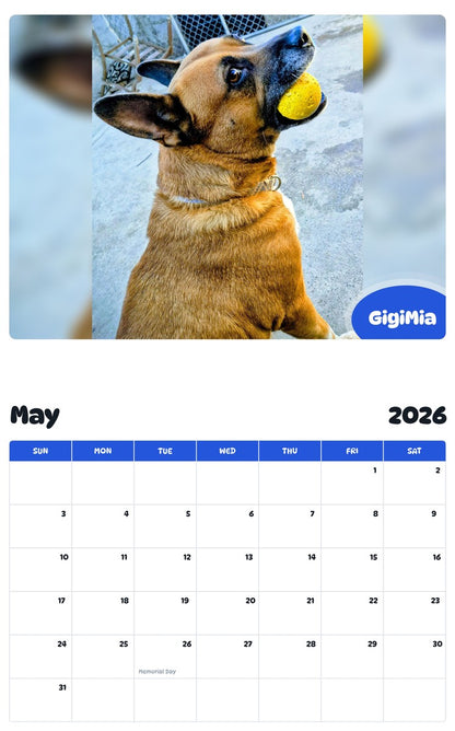 2026 - 2027 GigiMia - Pawidols Pet Calendar