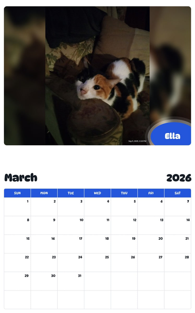 November 2025 - October 2026 Ella - Pawidols Pet Calendar