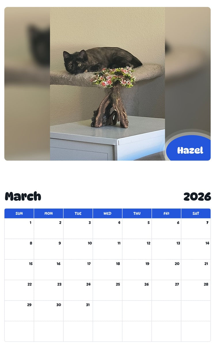 November 2025 - October 2026 Hazel - Pawidols Pet Calendar