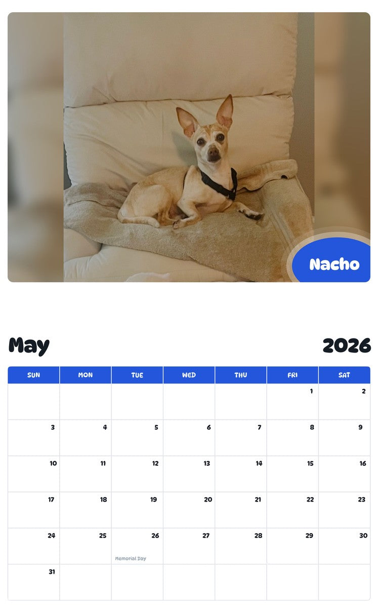 2026 - 2027 Nacho - Pawidols Pet Calendar