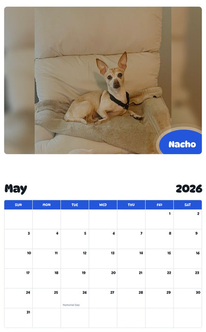 2026 - 2027 Nacho - Pawidols Pet Calendar