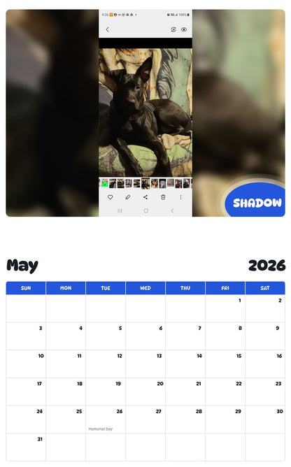 2026 - 2027 SHADOW - Pawidols Pet Calendar