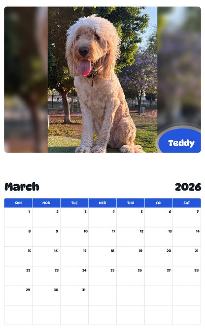 November 2025 - October 2026 Teddy - Pawidols Pet Calendar