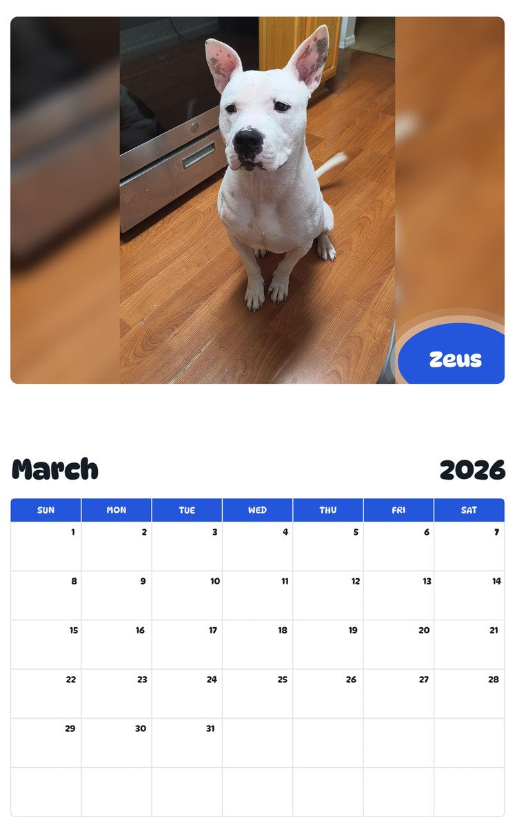November 2025 - October 2026 Zeus - Pawidols Pet Calendar