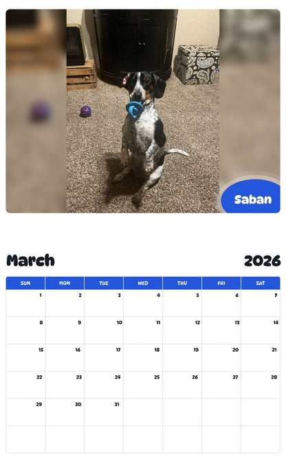 November 2025 - October 2026 Saban - Pawidols Pet Calendar