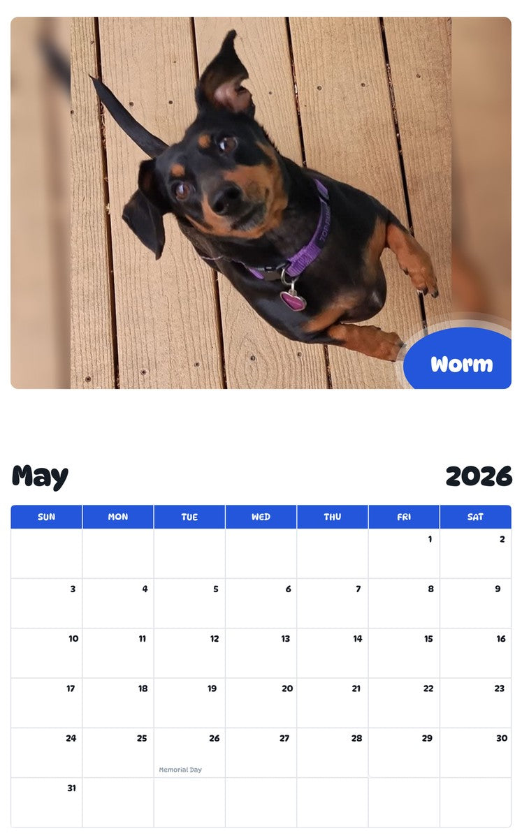 2026 - 2027 Worm - Pawidols Pet Calendar