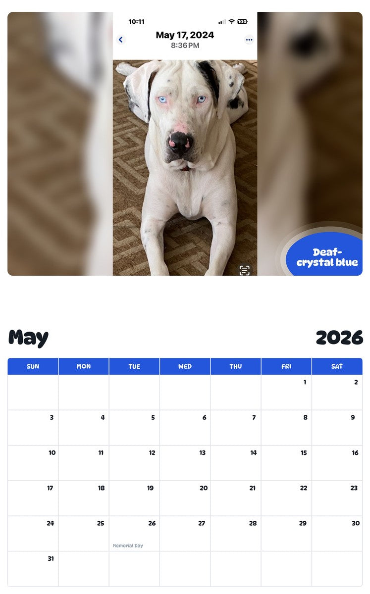 2026 - 2027 Deaf- crystal blue - Pawidols Pet Calendar