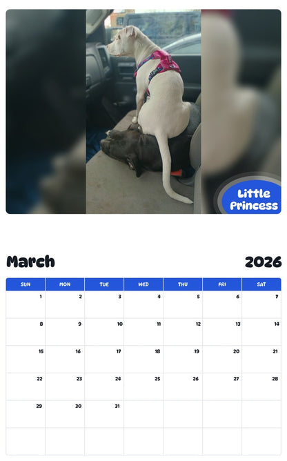 November 2025 - October 2026 Little Princess - Pawidols Pet Calendar