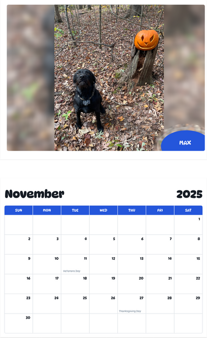 July 2025 - June 2026 Max - Pawidols Pet Calendar