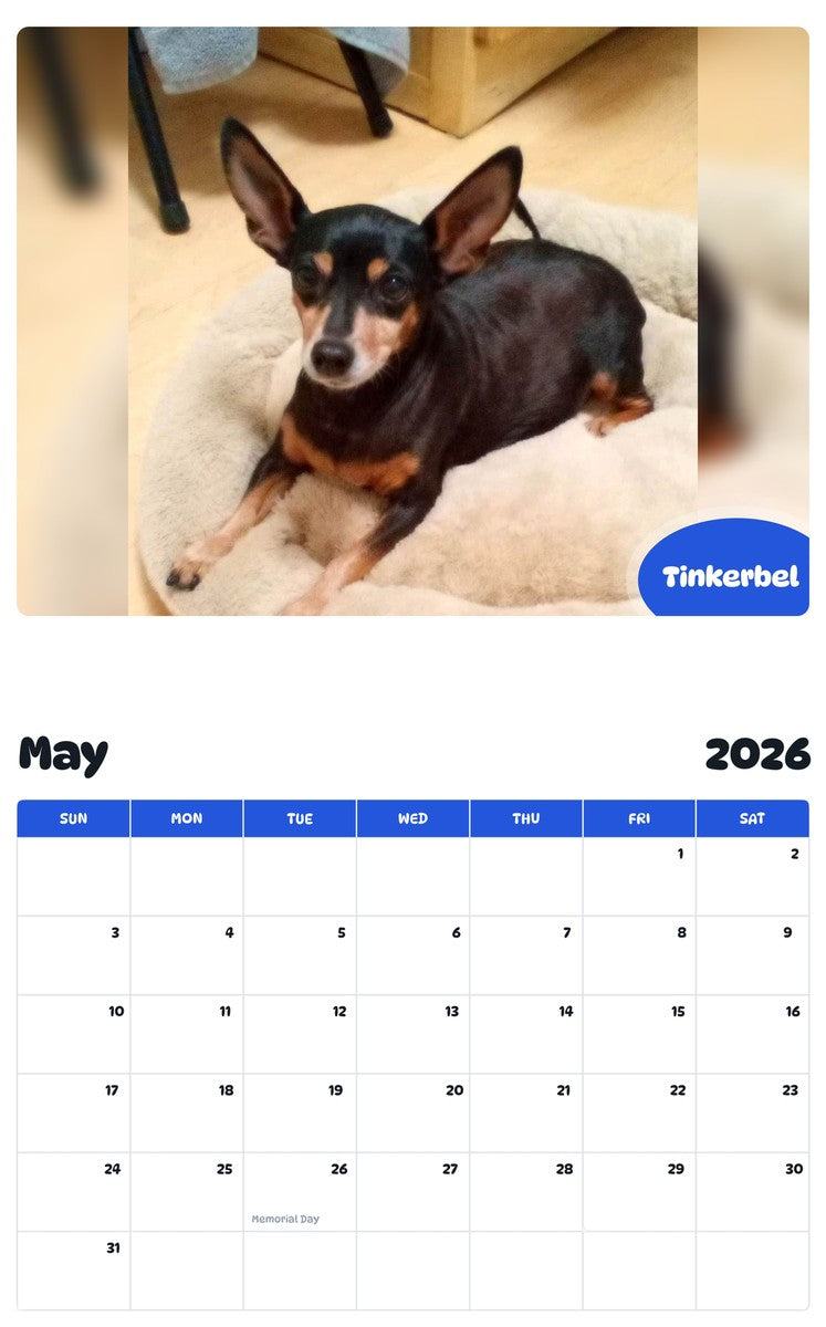 2026 - 2027 Tinkerbel - Pawidols Pet Calendar
