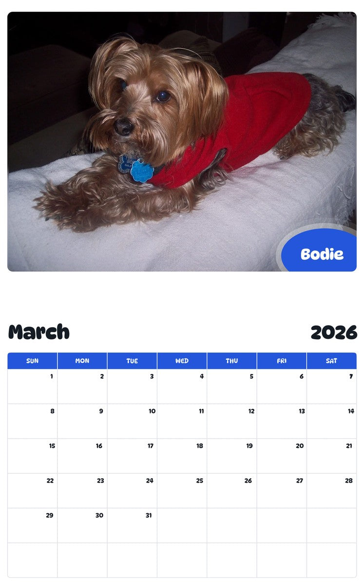 November 2025 - October 2026 Bodie - Pawidols Pet Calendar
