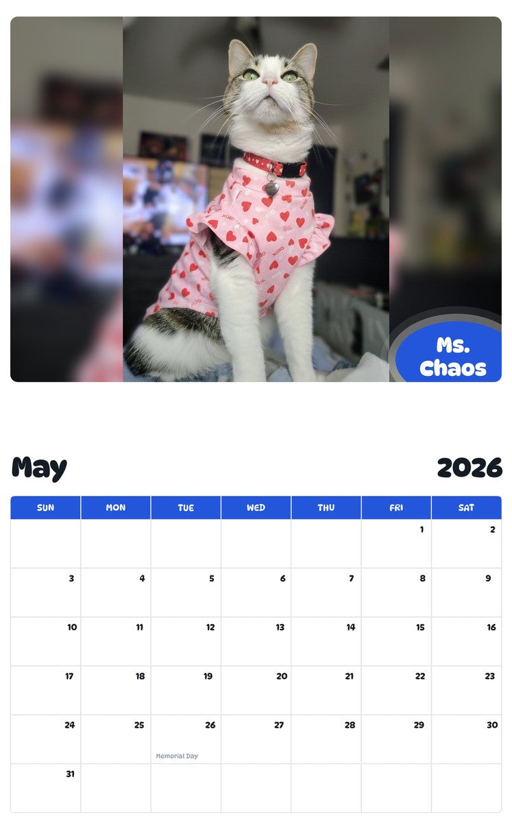 2026 - 2027 Ms. Chaos - Pawidols Pet Calendar
