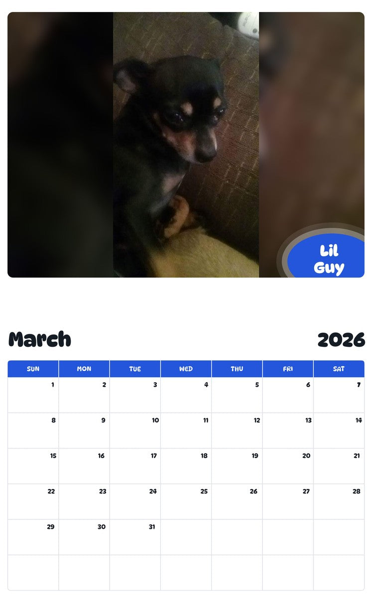 November 2025 - October 2026 Lil Guy - Pawidols Pet Calendar