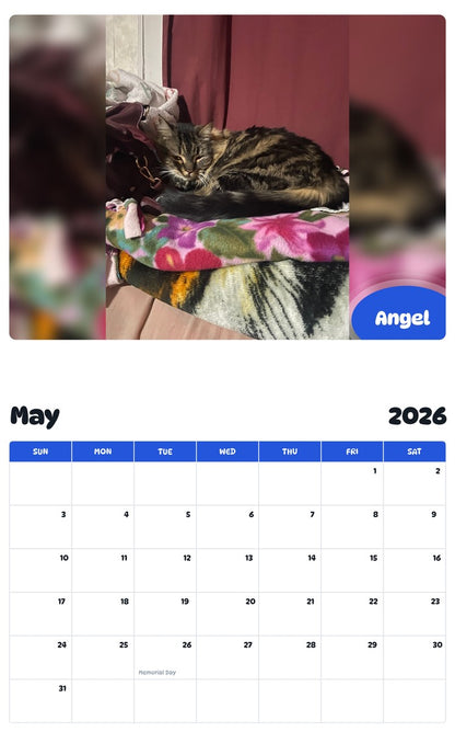 2026 - 2027 Angel - Pawidols Pet Calendar