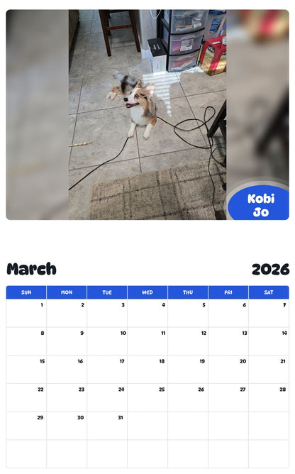 November 2025 - October 2026 Kobi Jo - Pawidols Pet Calendar